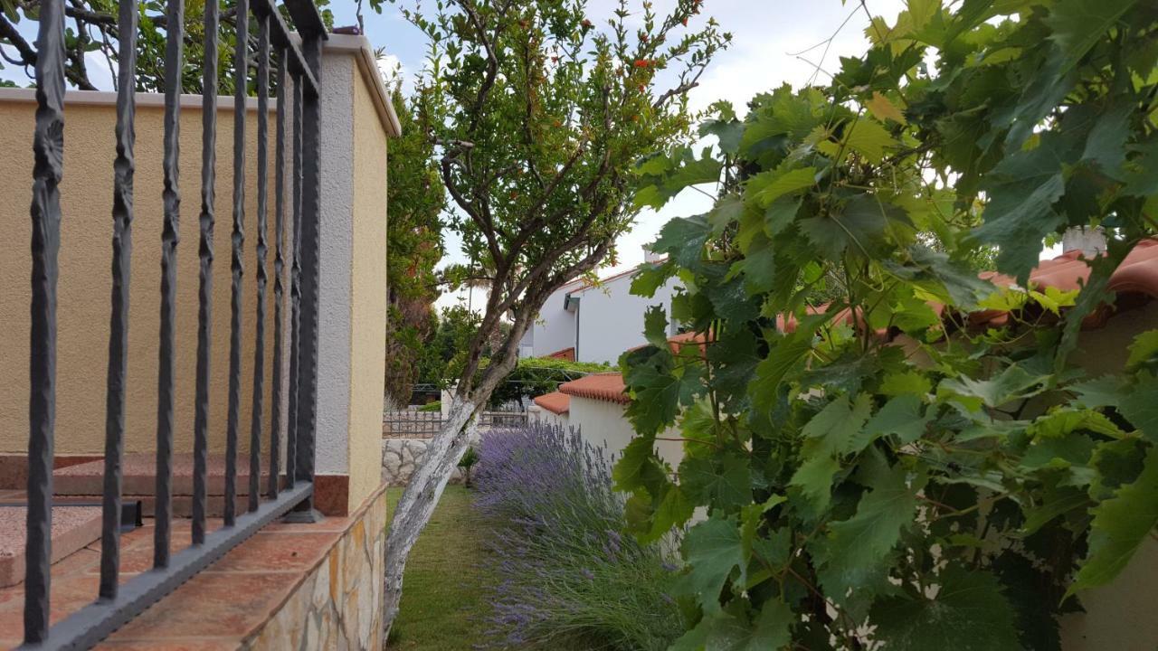 Holiday House Lavanda Vrsi Zewnętrze zdjęcie